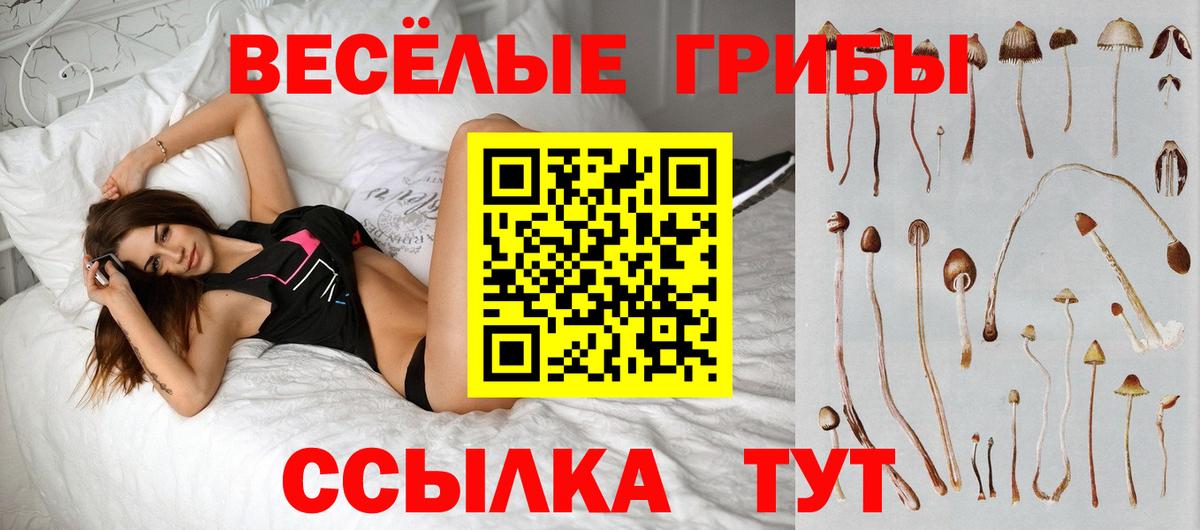 Галлюциногенные грибы ЛСД  Псилоцибиновые грибы Cubensis  Вход с VPN  как найти закладки  Узловая 